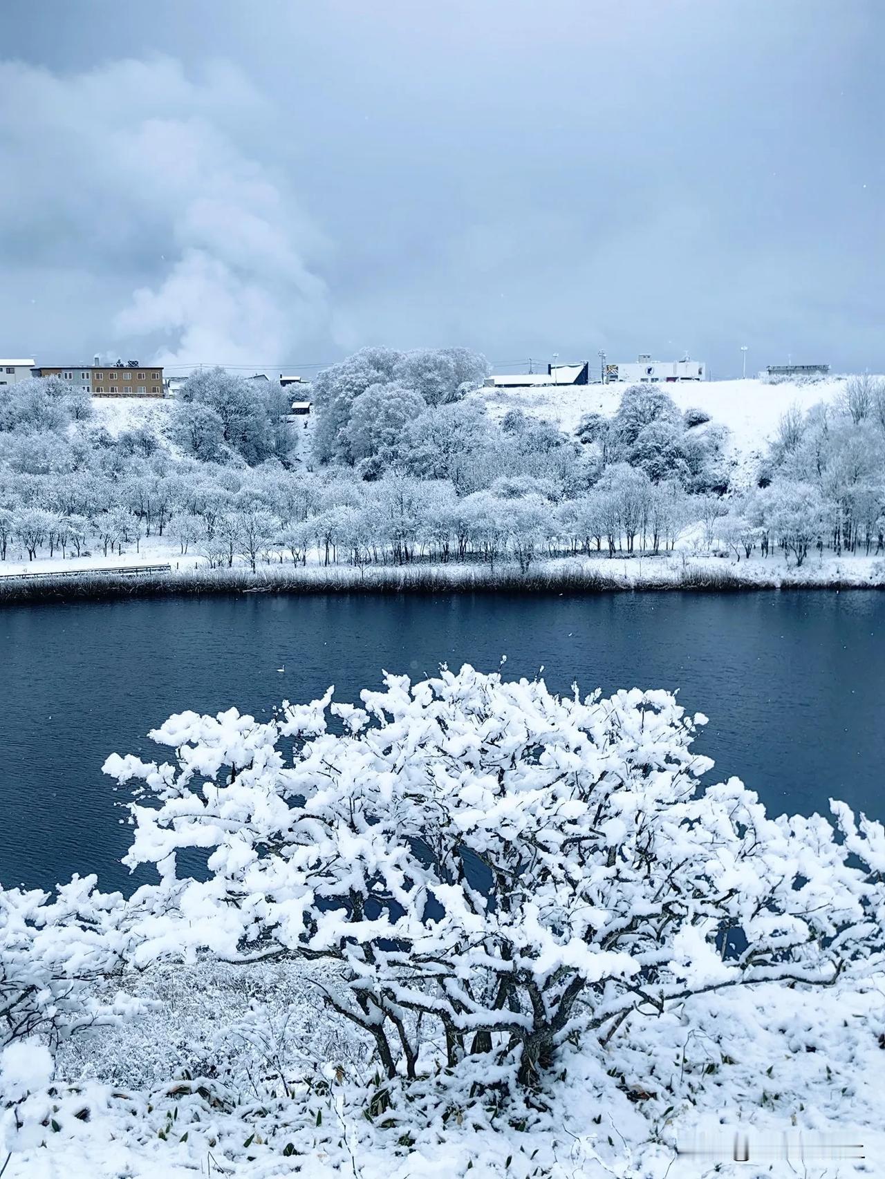 在北海道钏路市，遇到少见的大雪！
小城变得一片空白，走在厚厚的积雪上面，嘎吱嘎吱