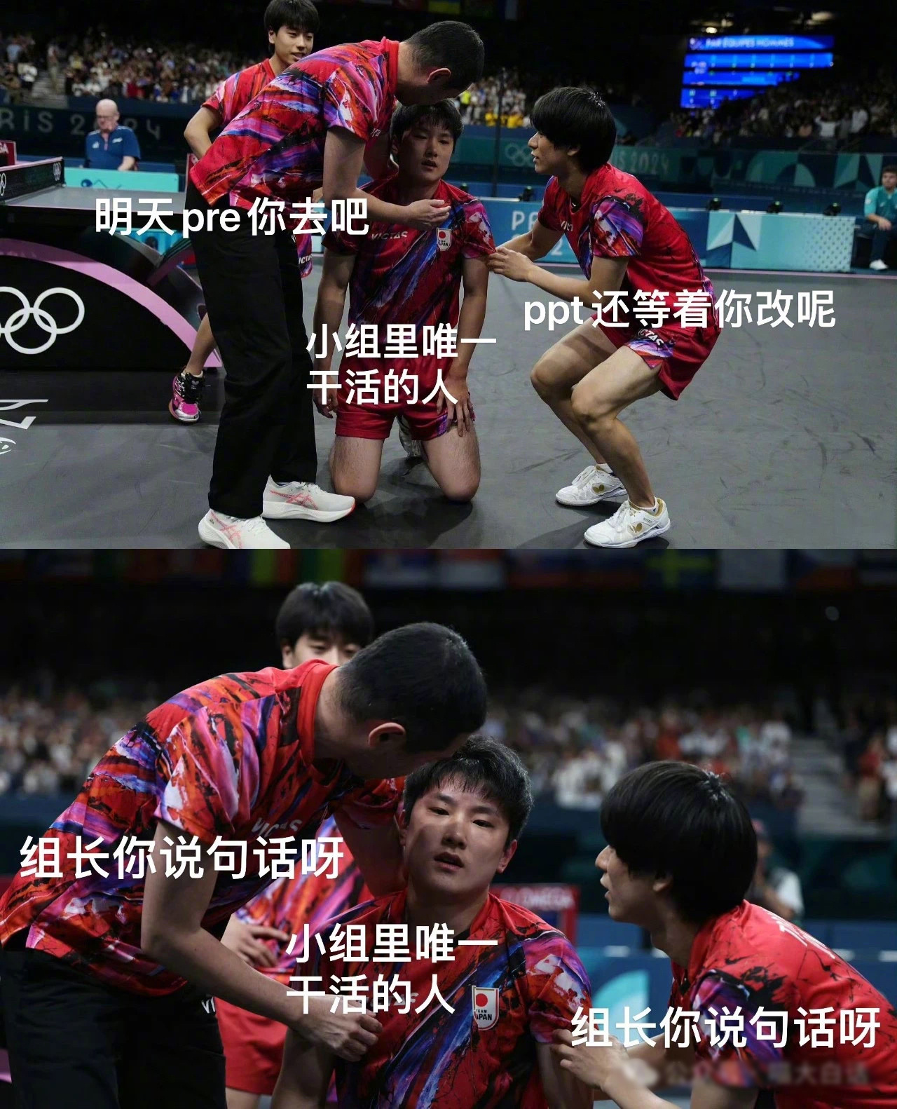 当代大学绝大部分小组作业be like：#张本智和 甄嬛# ​​​