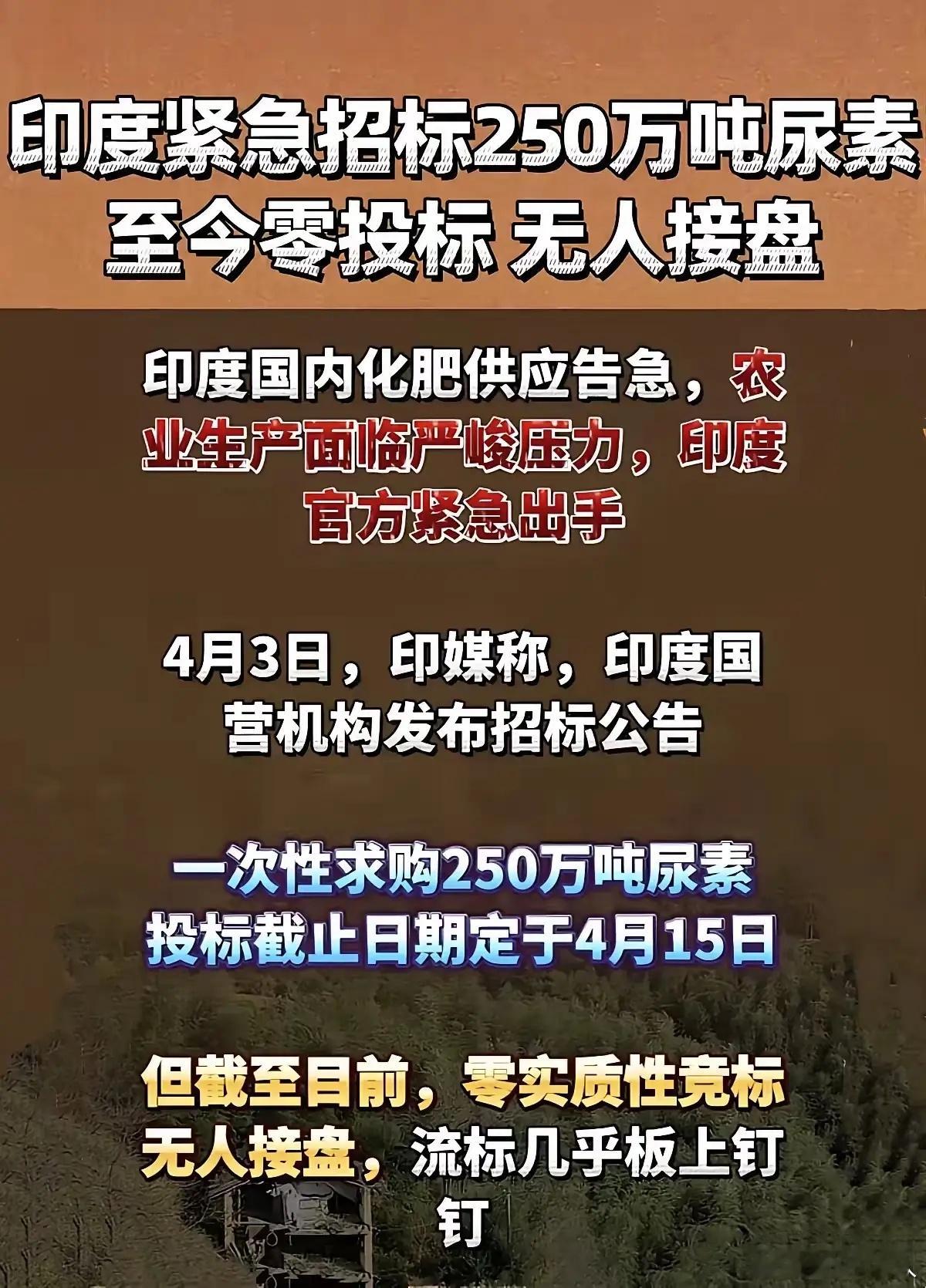 印度缺化肥、在国际化肥大涨背景下，居然用一个比行情低多了的价格招标，阿三这个脑回