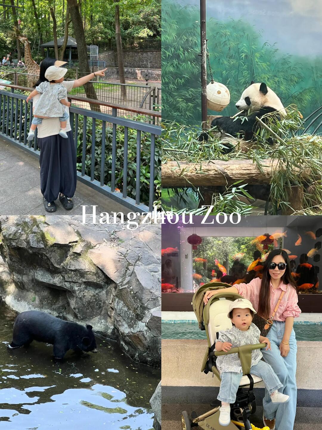带宝宝逛杭州动物园，快乐远超20元