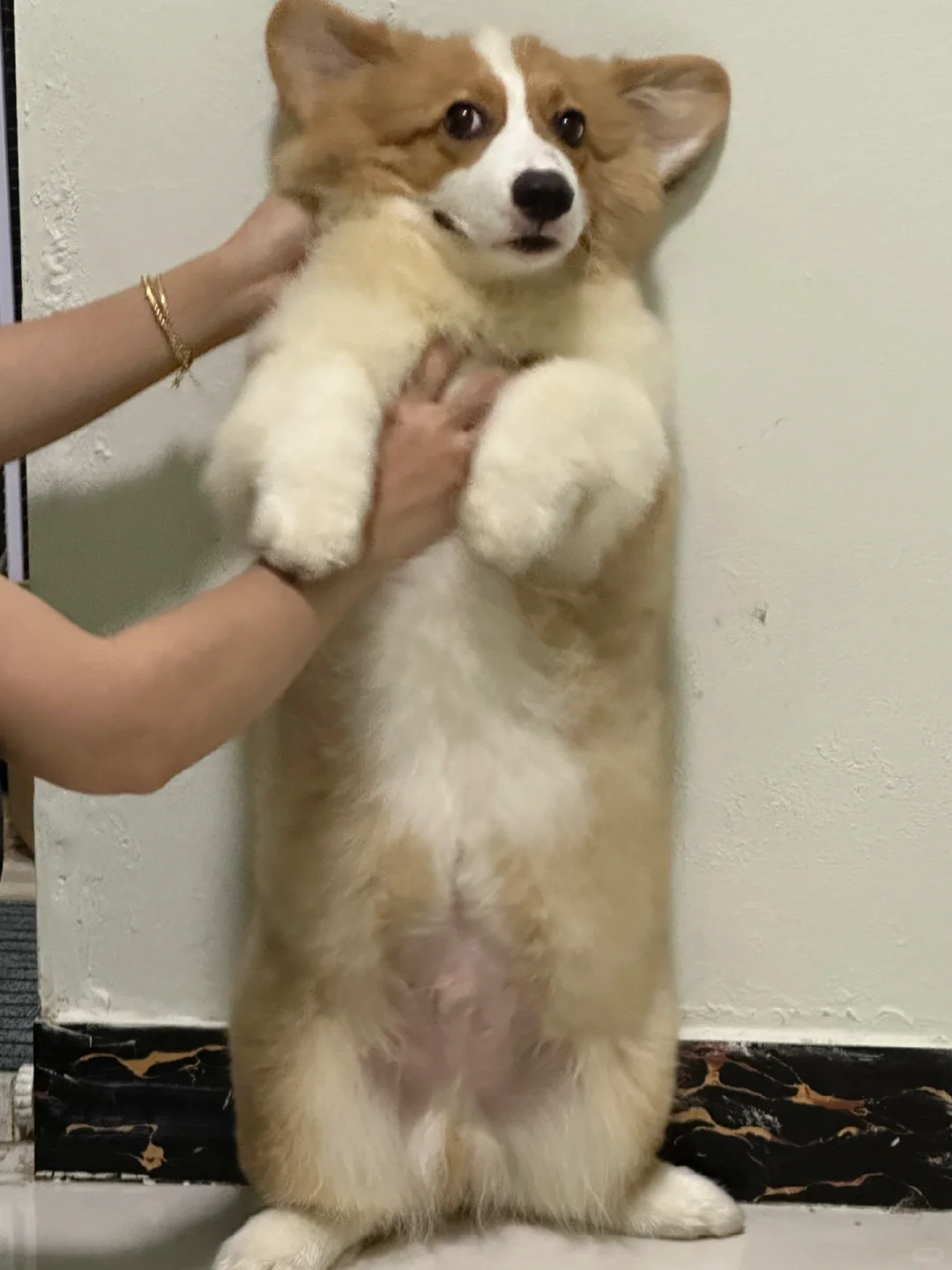 小基乱尿合集