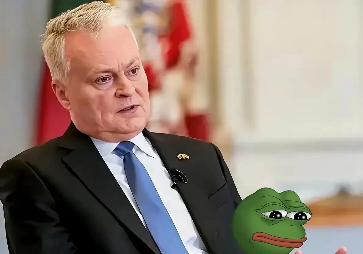 立陶宛终于感到了疼，就在昨天，立陶宛总统说了这样一段话！
 
2月4日，立陶宛总