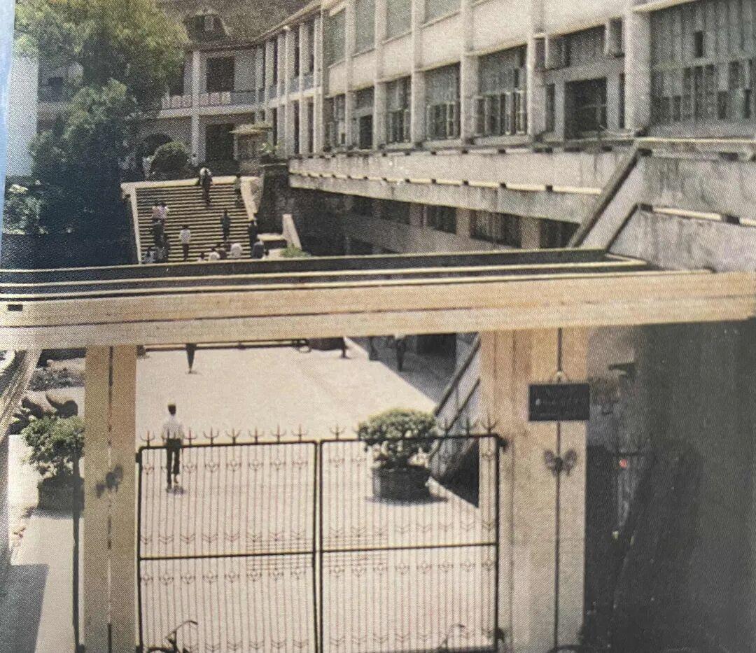 职场江湖，刀光剑影从不写合同里。老刘和老张，同岁同岗，前后脚进公司。老刘扎根部门