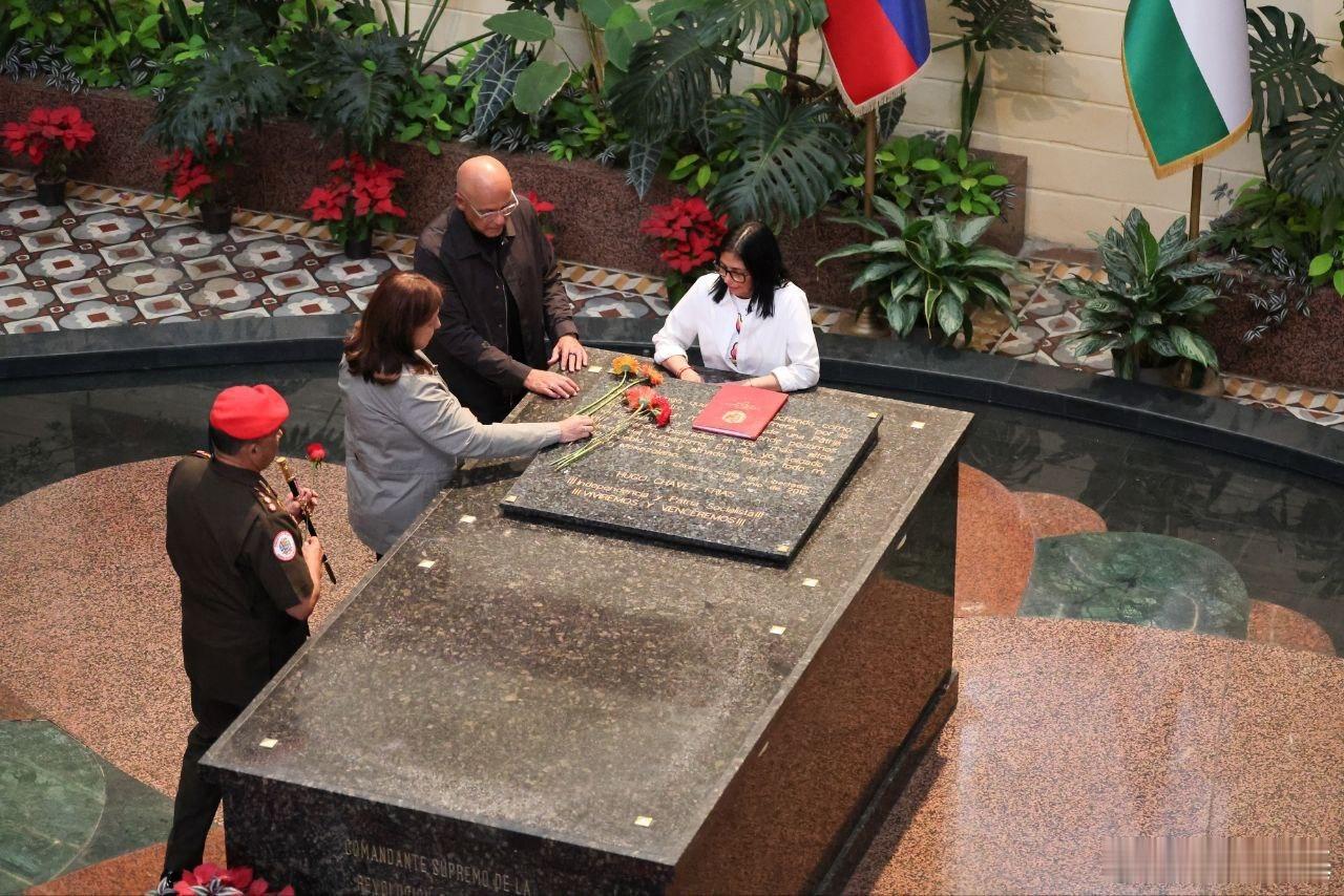 罗德里格斯在查韦斯陵墓对委内瑞拉和查韦斯宣誓效忠。来源：TabZ - Alter