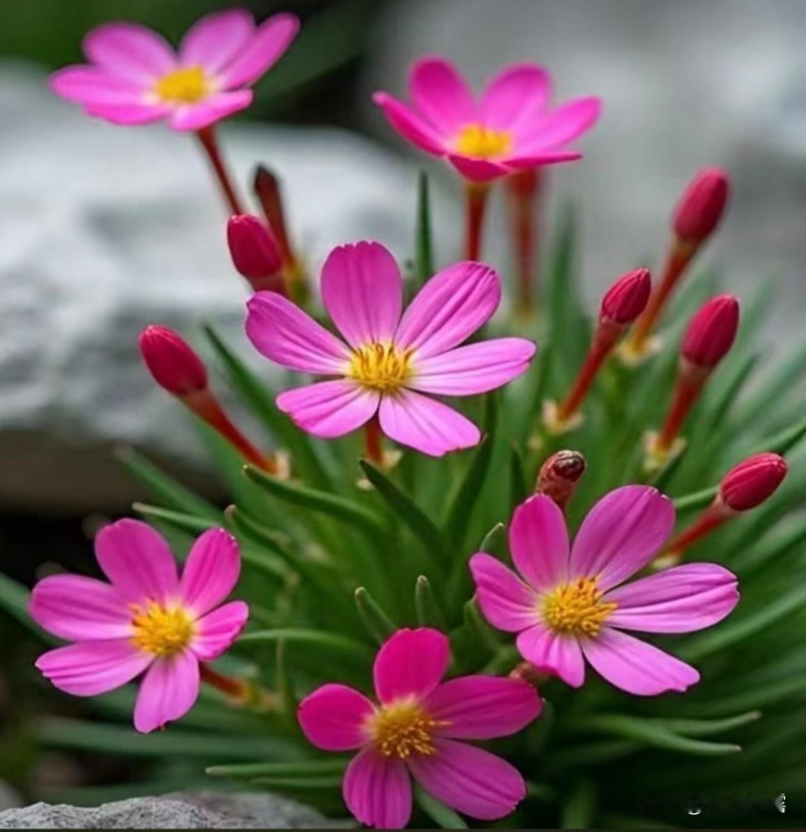 岁月如梭人易老，
何苦天天寻烦恼。
活在世上一分钟，
就要开心六十秒。