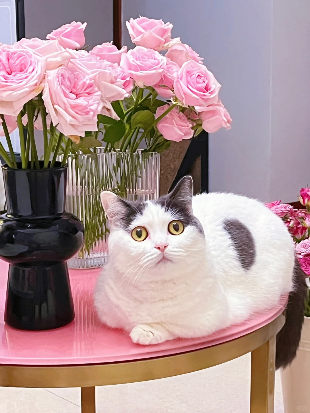 新版本更新的东西太多我已经彻底懵了啊