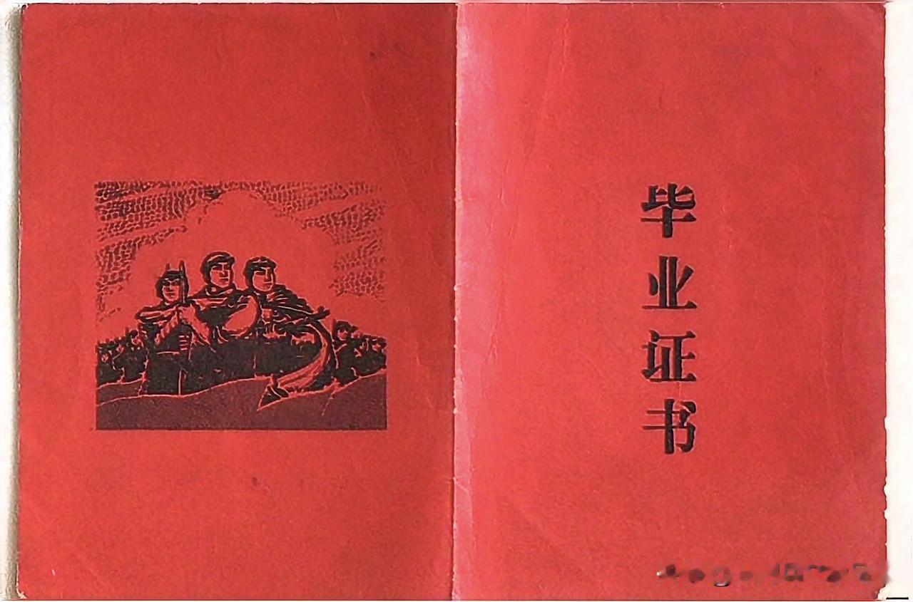 小学五年制——初中二年制——高中二年制，九年制基础教育，不是空想，不是空谈，是经
