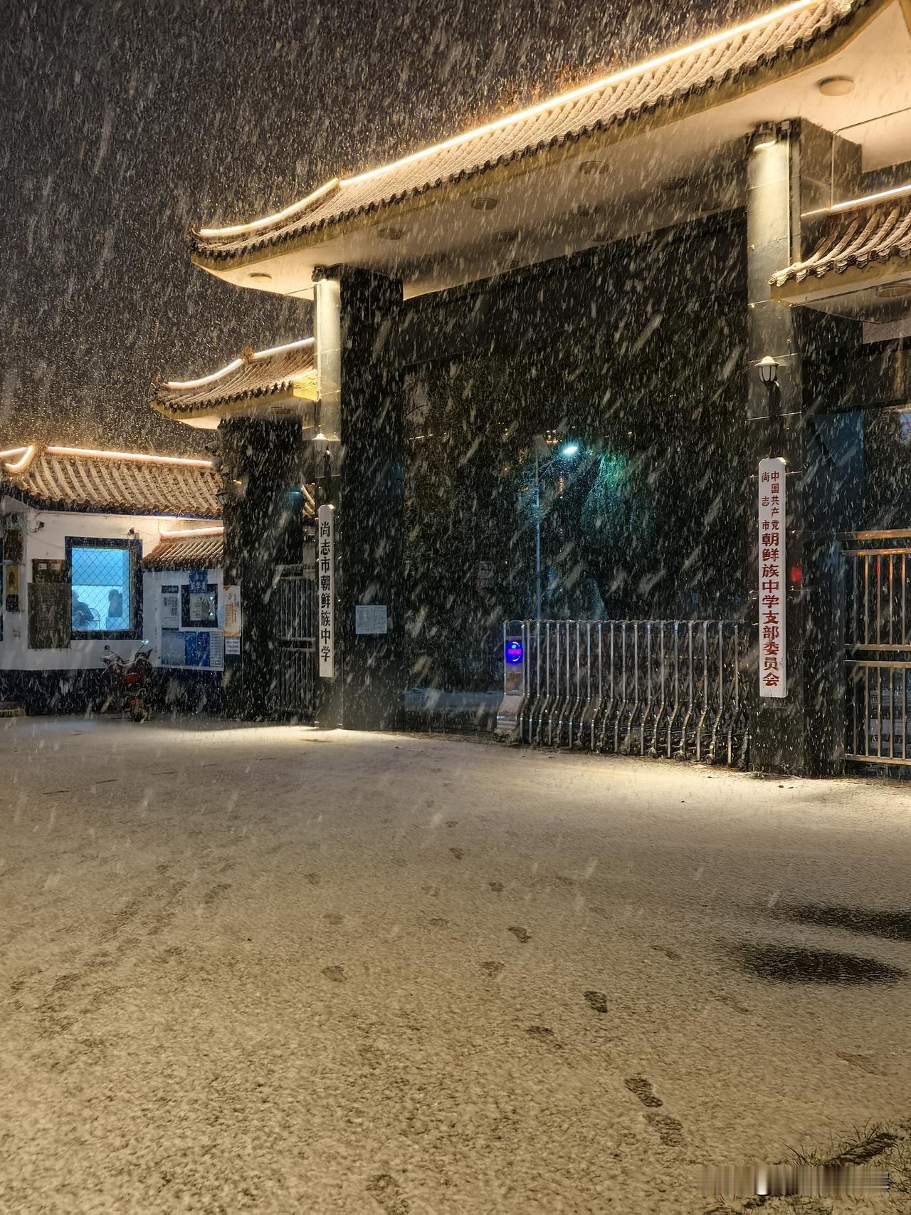 雪夜中的尚志：一场雪与城市的温柔对话
 
当夜幕低垂，雪花如精灵般从天际簌簌落下