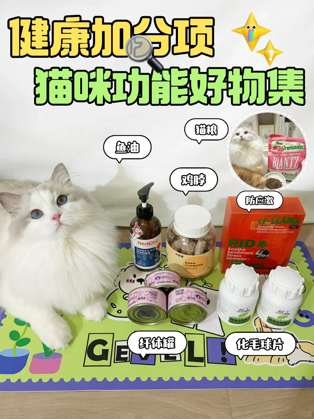 健康加分项🥸猫咪功能好物集