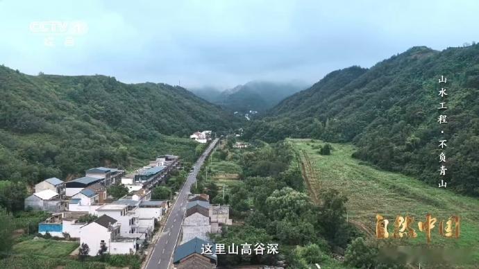 树苗坐无人机空降过去，种树是件需要费力爬山的事情，而在陕西蓝田县焦岱镇，通过无人