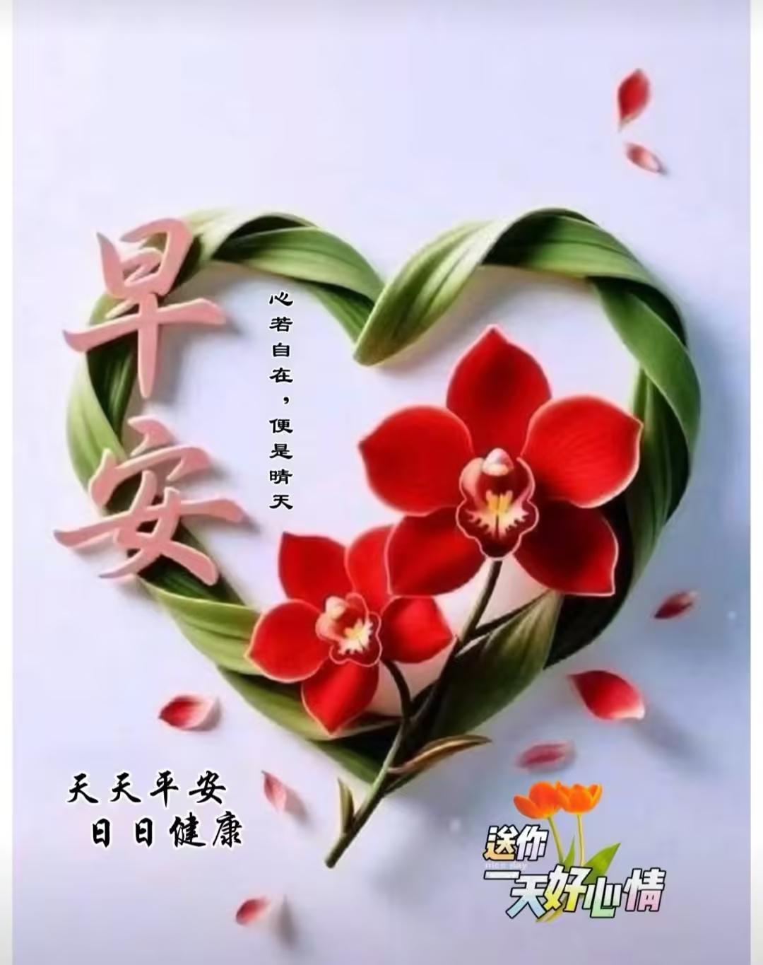 今日青岛，气温26C'至28C'度，西北风二级，体感30，祝您早安吉祥！

今天