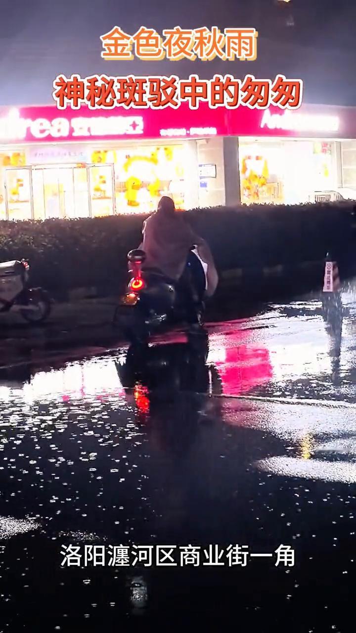金色夜秋雨，神秘斑驳中的勿匆。
洛阳瀍河区商业街一角。