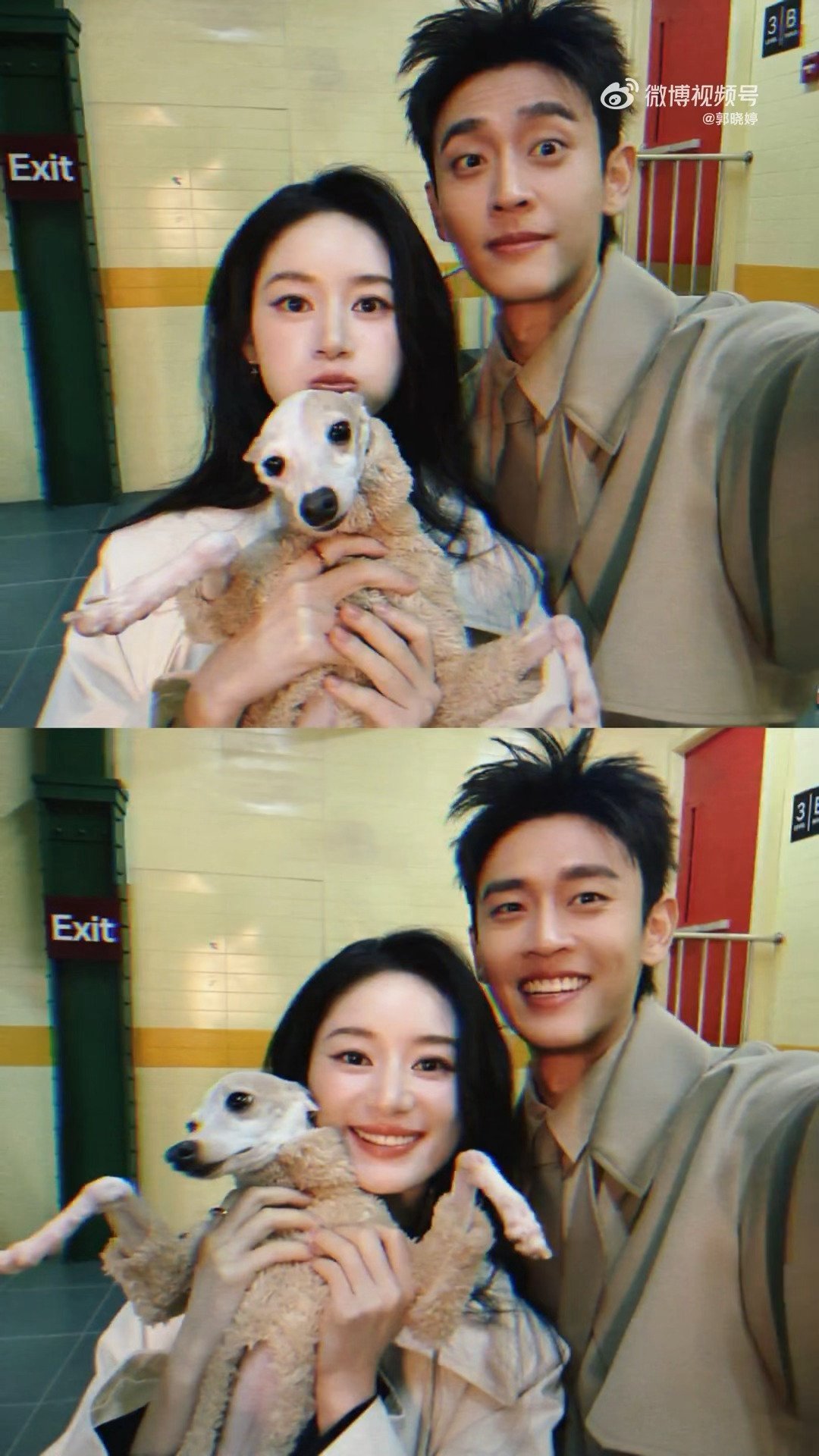 王天辰郭晓婷 这样的距离算适当吗要不你俩去拍尼克狐尼克的那个 