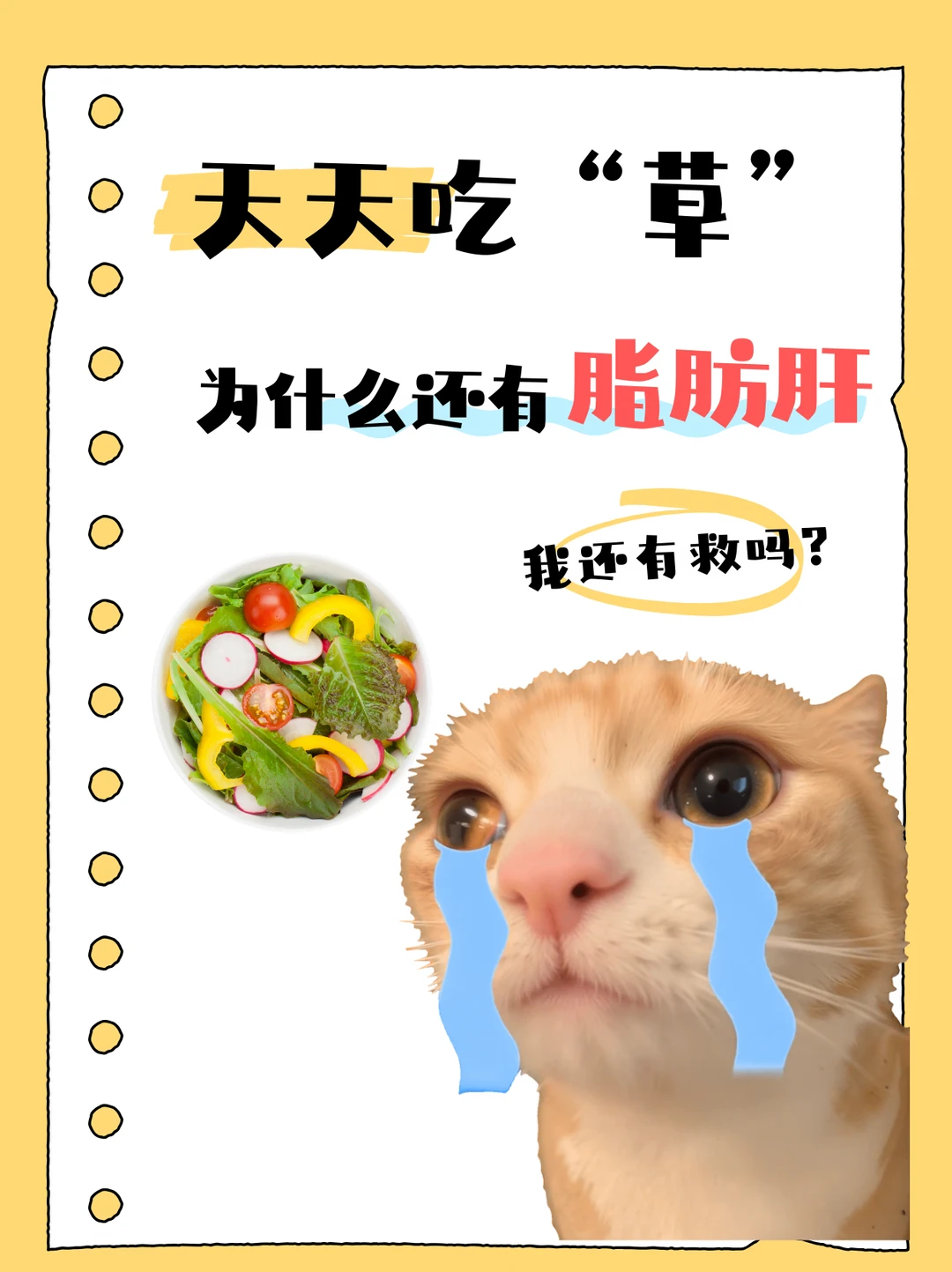 天天“吃草”，怎么还查出脂肪肝？🥗