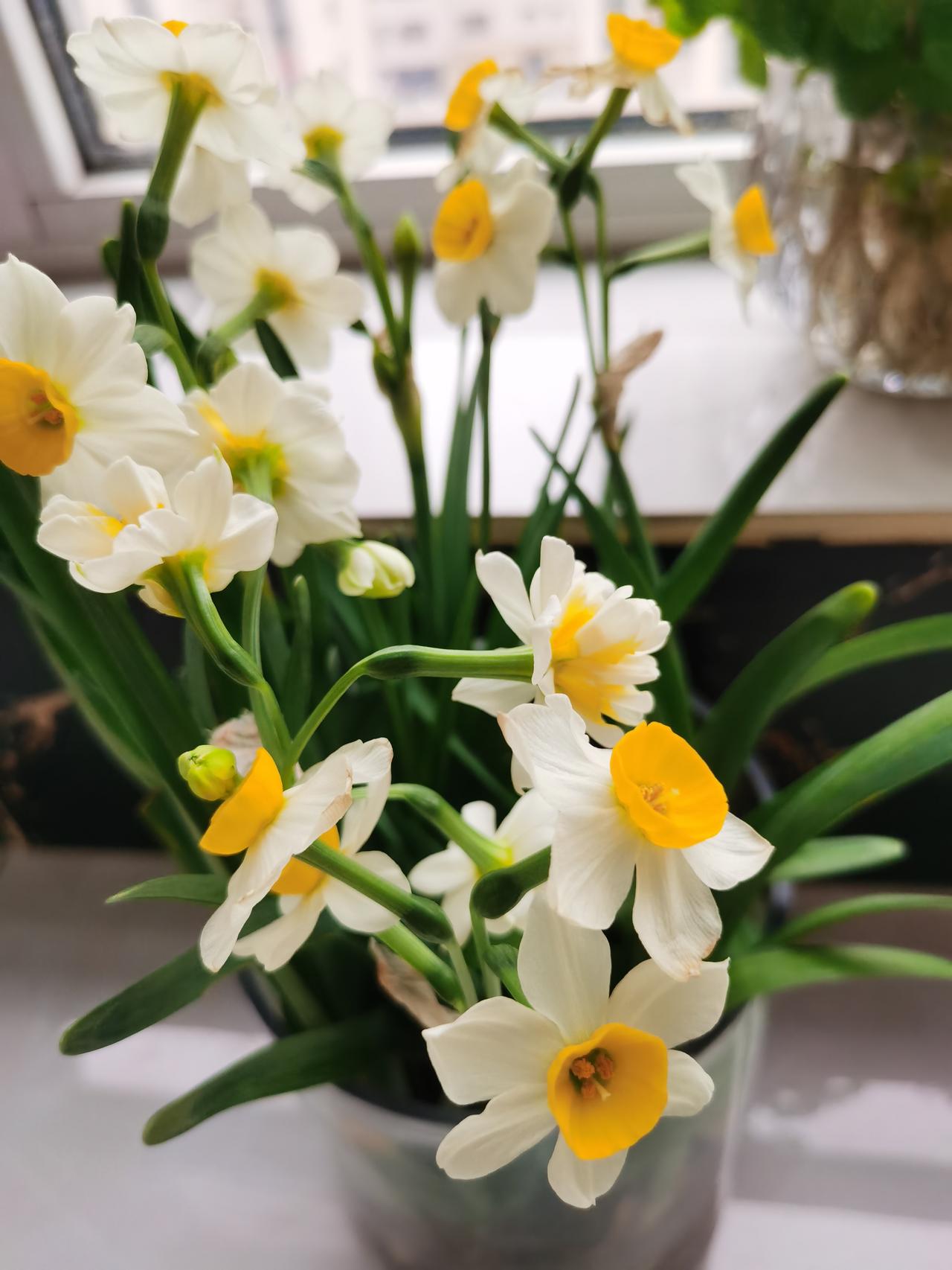 “放假回家，千万不要超过三天。。。”
       快下班的时候，张姐说她女儿大