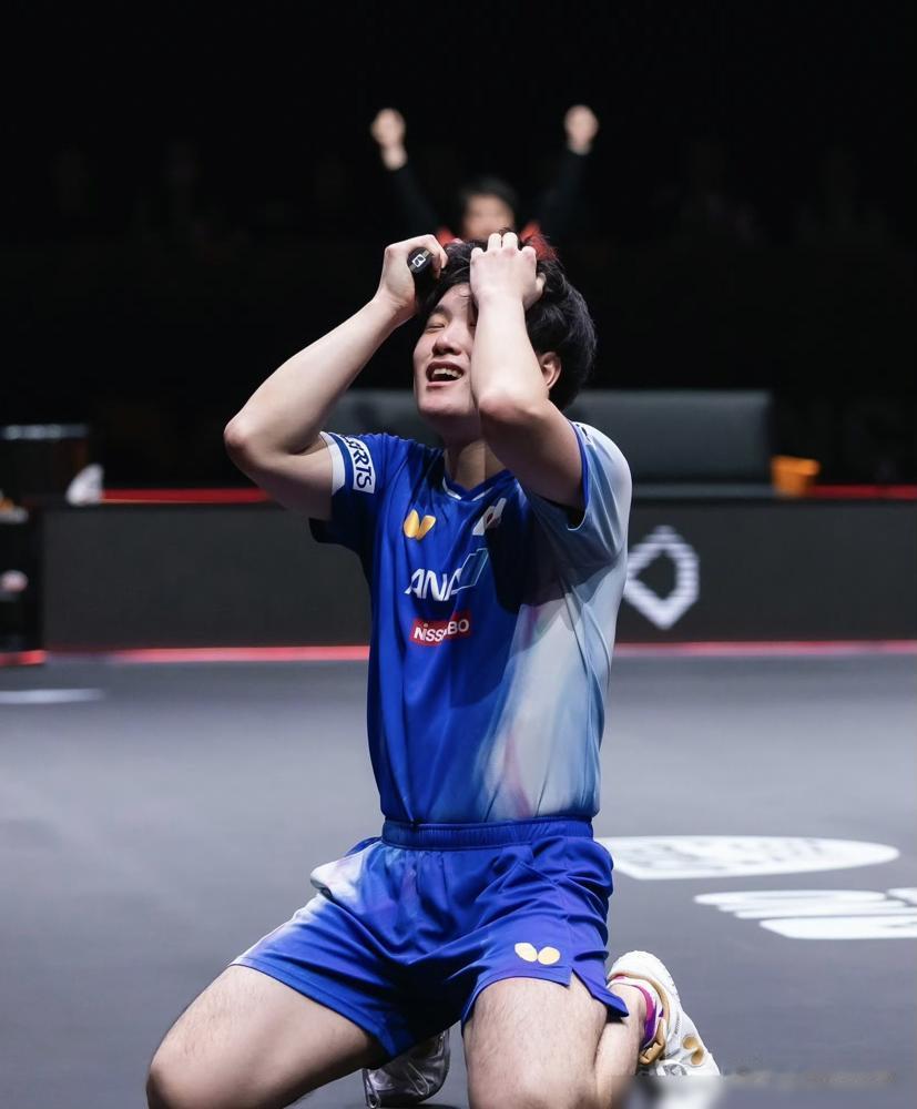 张本智和惊天一“跪” 不知道的还以为夺冠了呢 殊不知刚进四强 大比分3-1领先 