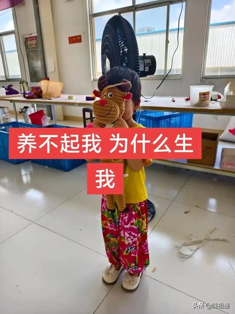 高考完索要1万旅游费被拒，女孩崩溃质问：“养不起，为什么要生我？”

“养不起，