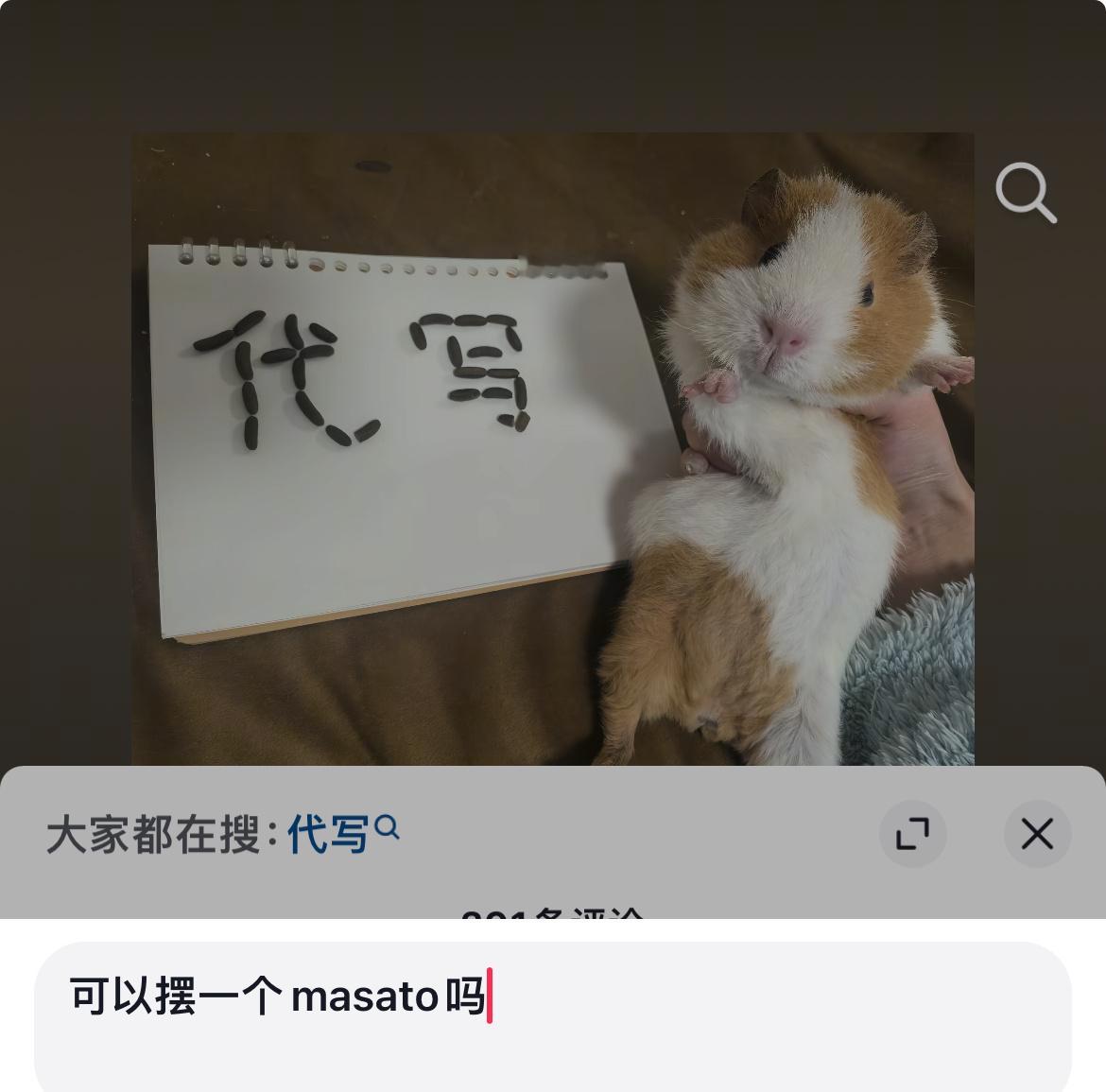 摆一个masato不知道要拉好多屎 