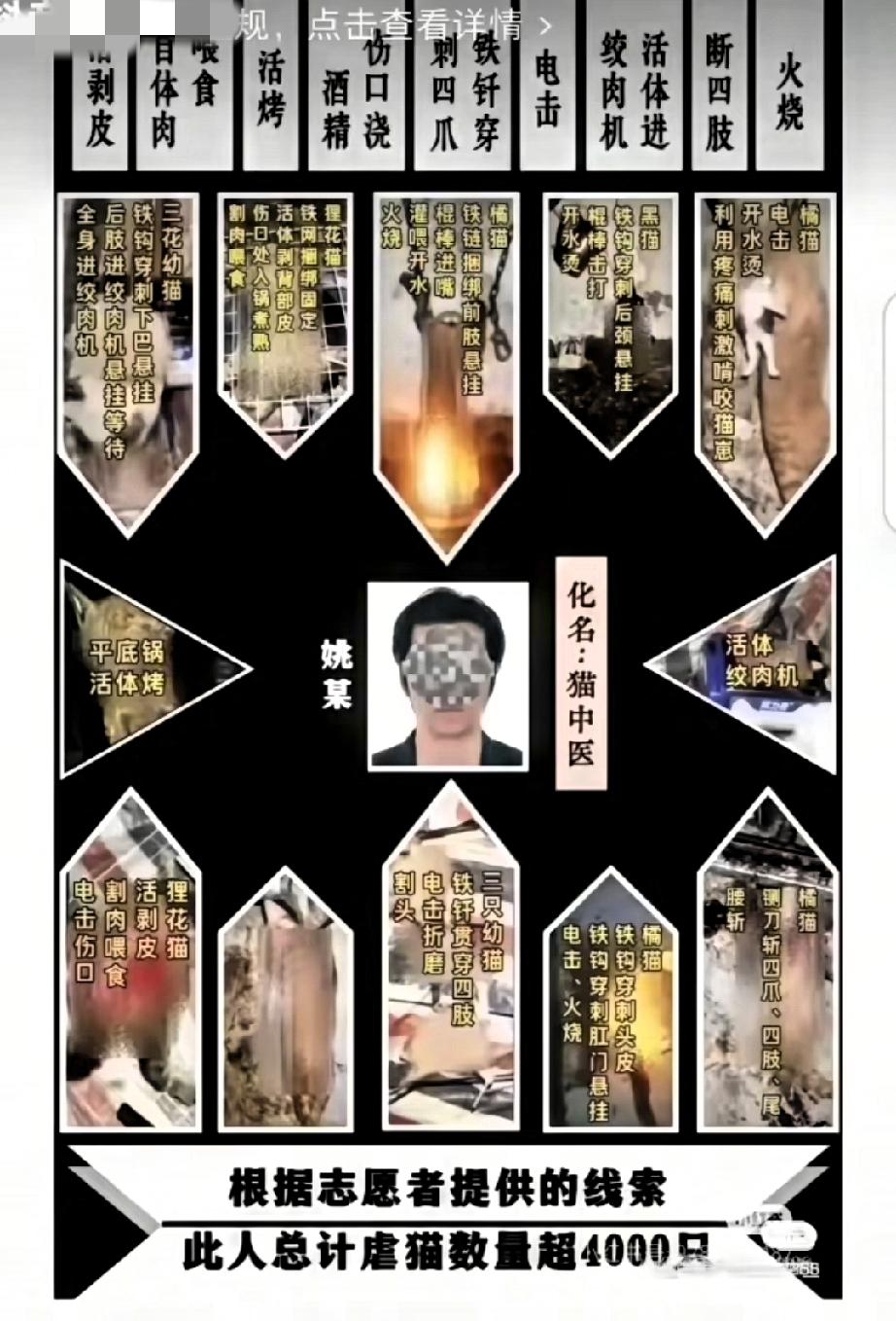 律师三年虐杀4000只猫！被开除就完了？这才是关键
 
上海律师姚某三年虐杀40