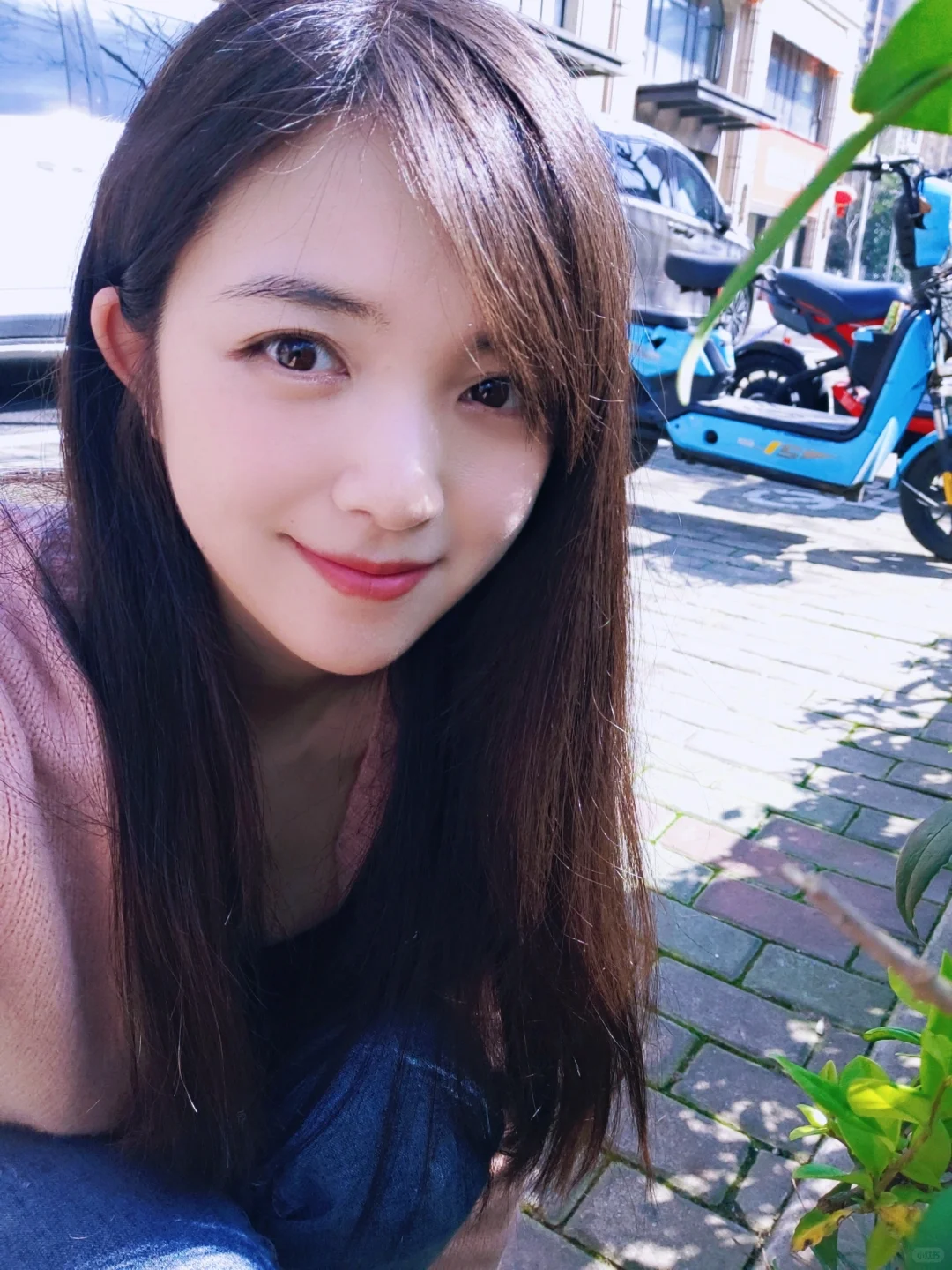 心动的信号 ☀️