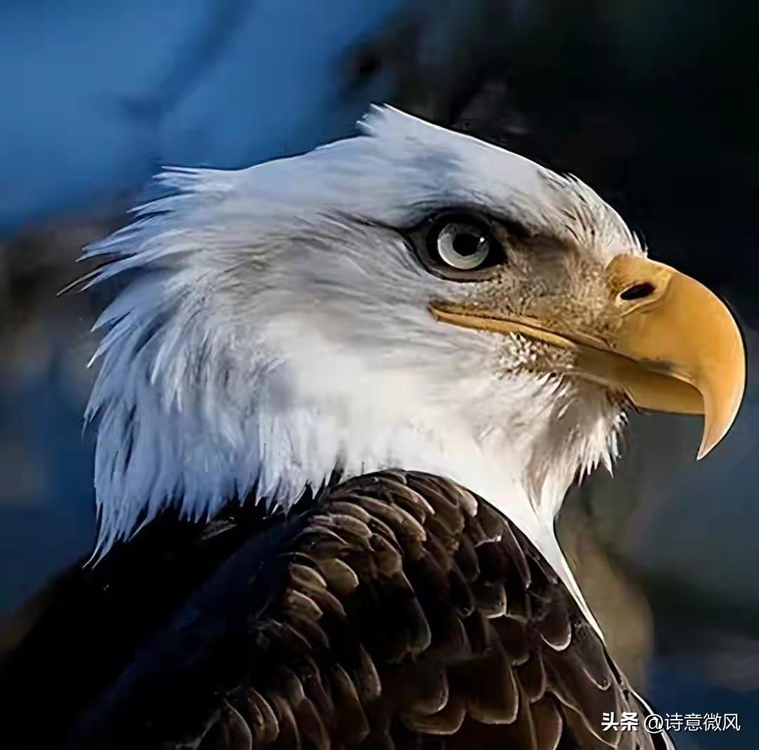 中国4位鹰派人物，有人扬言灭掉日本，还有的要摧毁美国数百座城
 
先把话说在前面