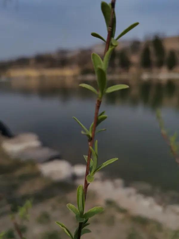春天到了，寻春踏青随手拍简直太快乐啦！不必带专业相机，不必去远方，只要心怀热爱，