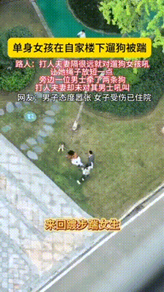 重庆遛狗女子被打后续来了！
不是因为狗没栓绳子，
也不是因为狗吓到孩子了，而是因