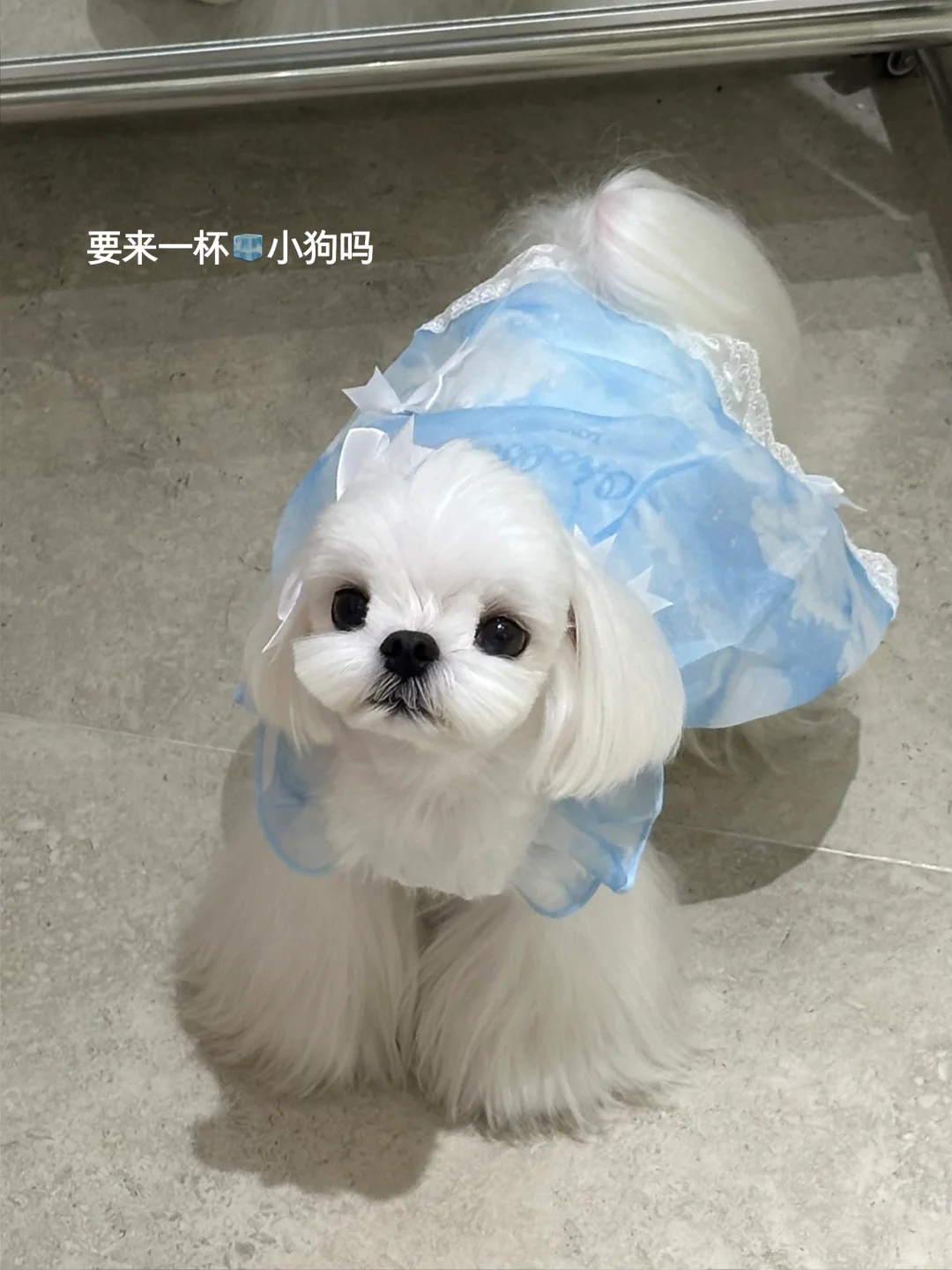 Live｜地上打滚儿都不会脏