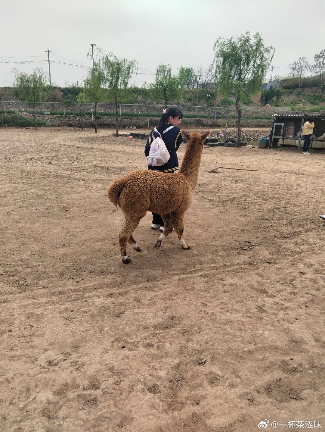 今日身份：娃的专属提款机+贴身保镖+情绪安抚员+拎包侠，主打一个心甘情愿被拿捏。