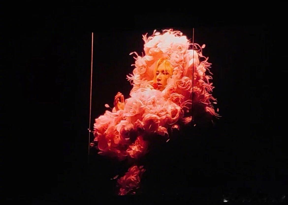 华晨宇粉色永生花造型  华晨宇深圳演唱会上，粉色永生花造型杀疯！花团紧簇，玫瑰添