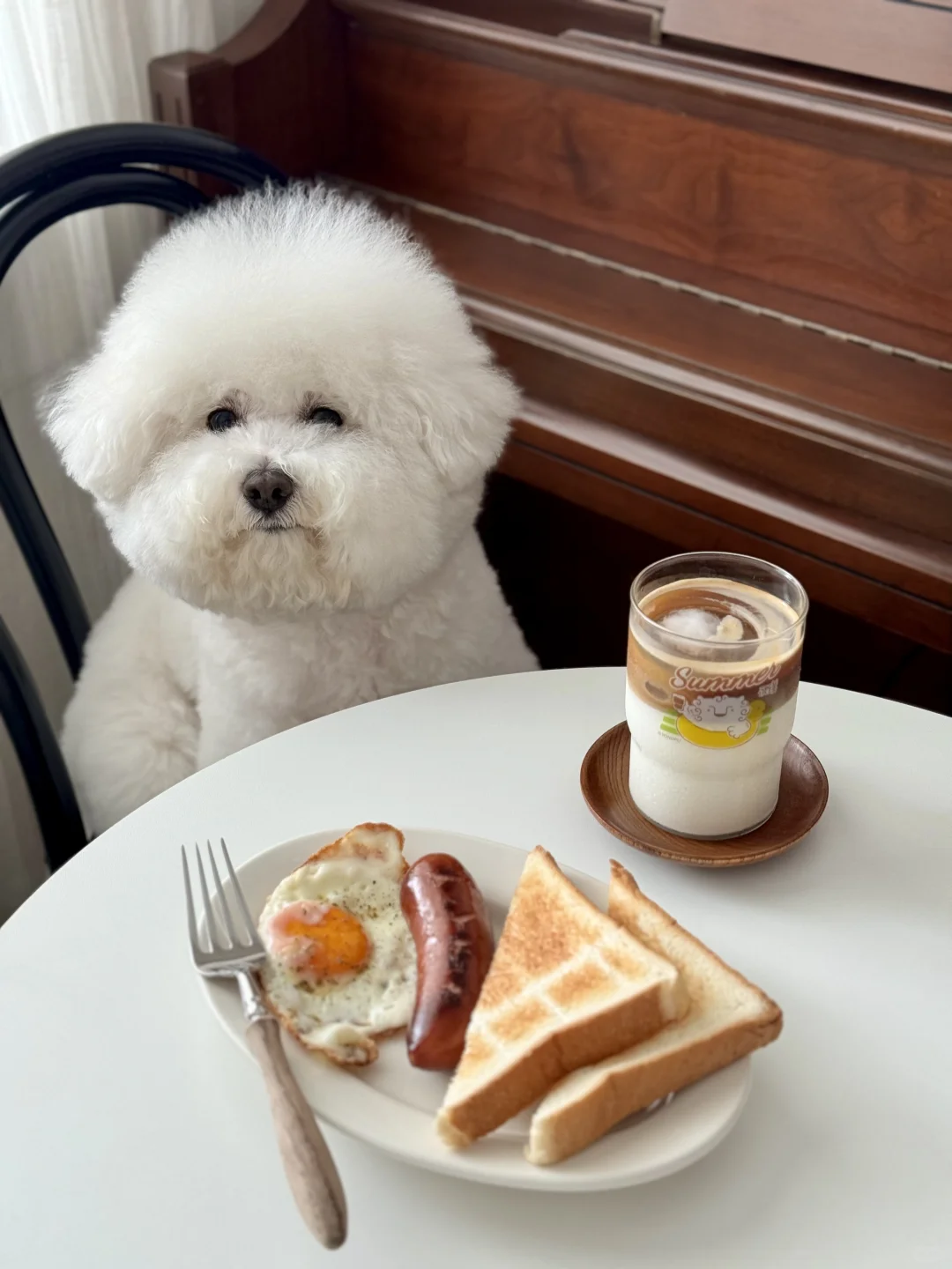 今日早餐🍞🥛& 有情绪的小狗🐶