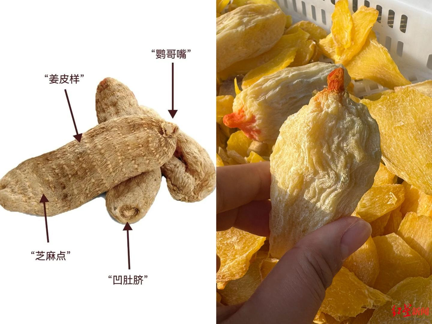 #黑工厂制假天麻现场触目惊心# 【#黑工厂制假天麻现场刺鼻味扑鼻#】 #发黑烂掉