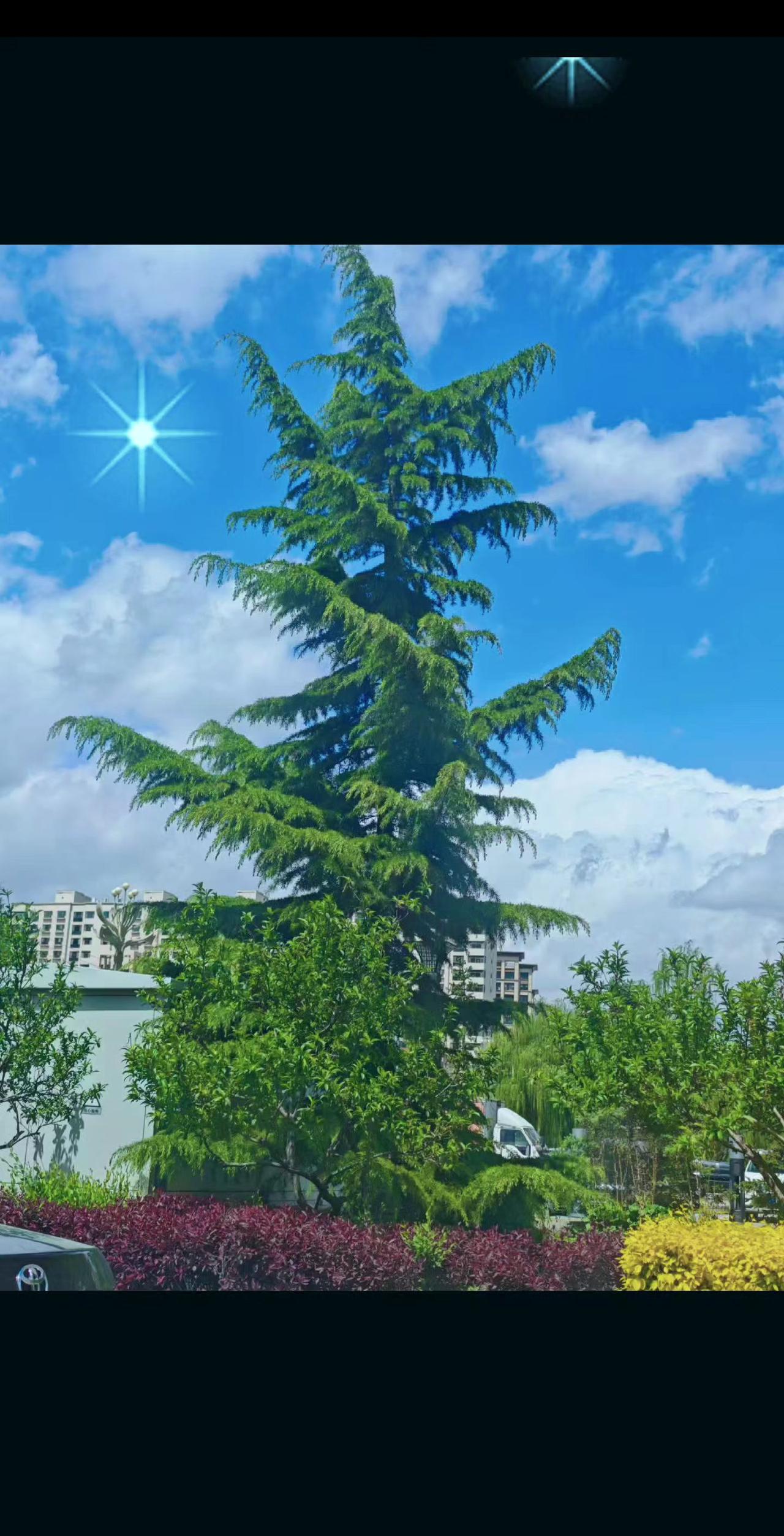爱一个人一定是从心痛开始，一个人如果爱你，他的眼睛里会有疼惜，如果不爱就只有欲望