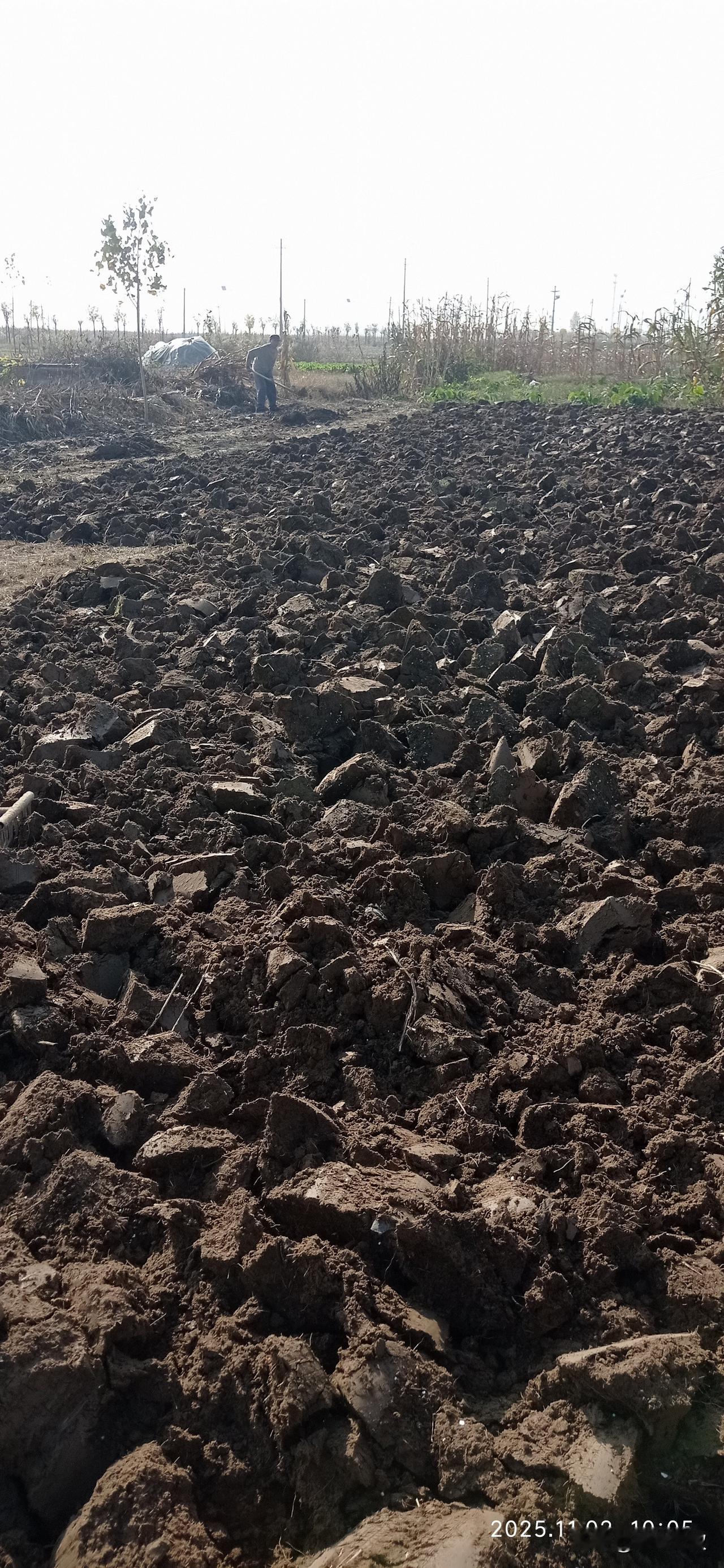 我实名举报我的老父亲，每逢周末给我打电话，让我给他干活，不给工钱还老熊我。
几年