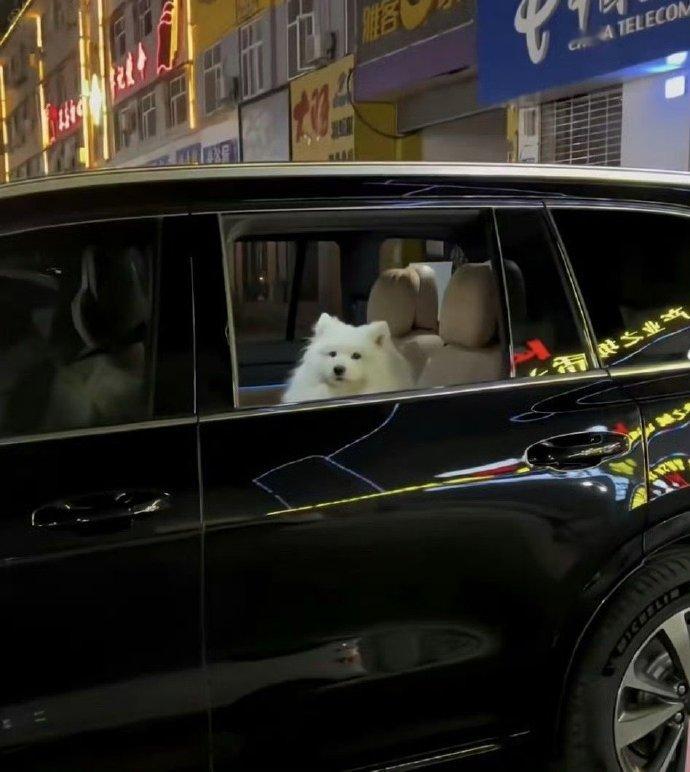 “少耶和我”[doge] 