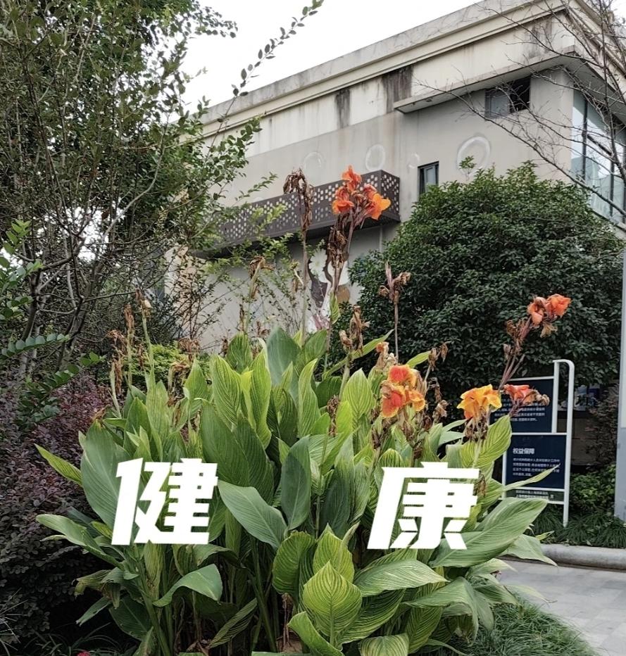 为什么要天天担心癌症会复发？
读到一个朋友的文字，他说我天天在担心癌症会不会复发
