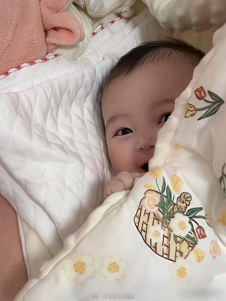 古巨基晒二胎，网友却集体心疼他57岁的太太。52岁生头胎，57岁再当妈，这哪是拼