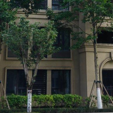 刚在家庭群里看见我妈转发的“千万别给子女太大压力”，接着我爸发了条“注意身体别熬