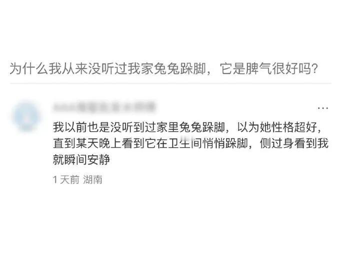 兔子逼急了才会咬人，但脾气再好的兔子背地里也跺脚