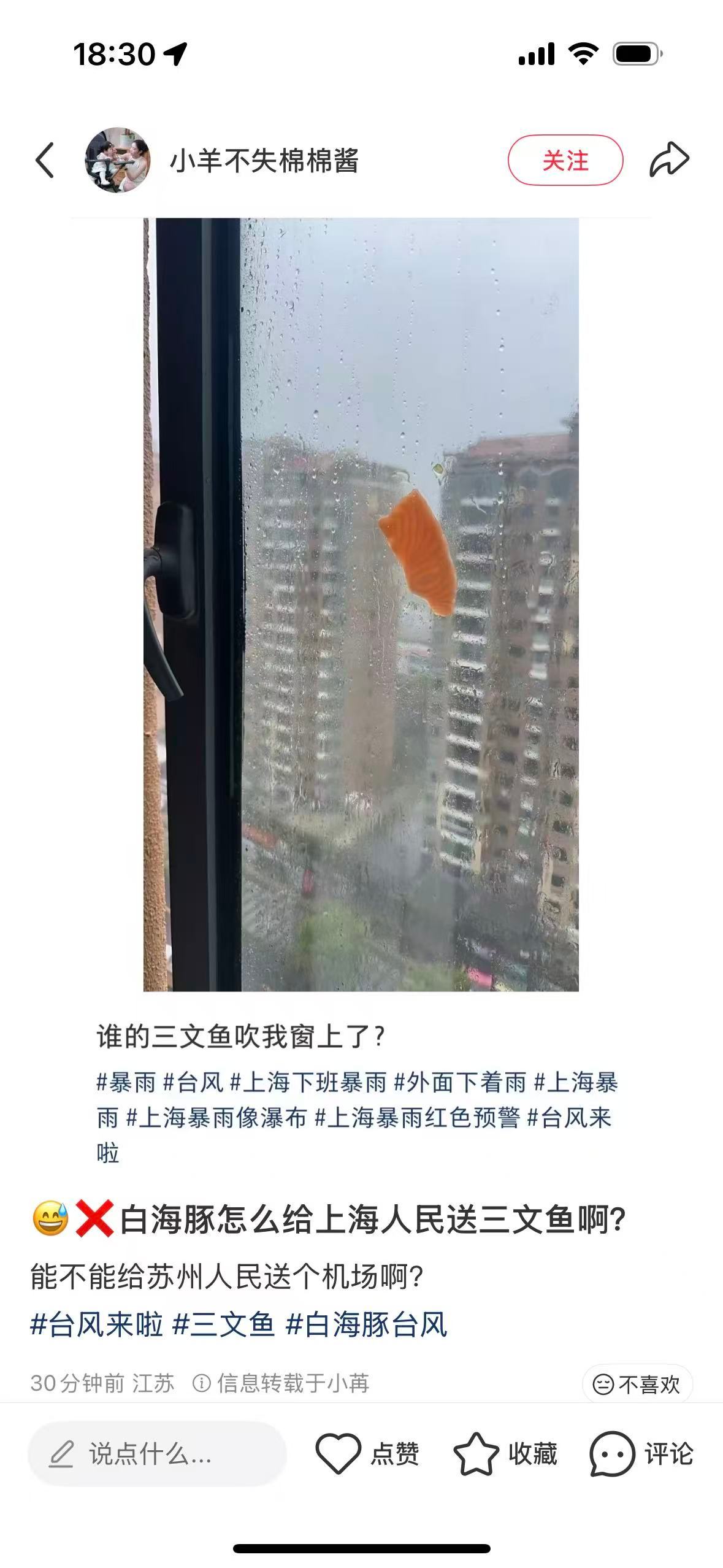 我跟上海朋友说这个白海豚台风老让我感觉是台风刮来了白海豚，我朋友： 