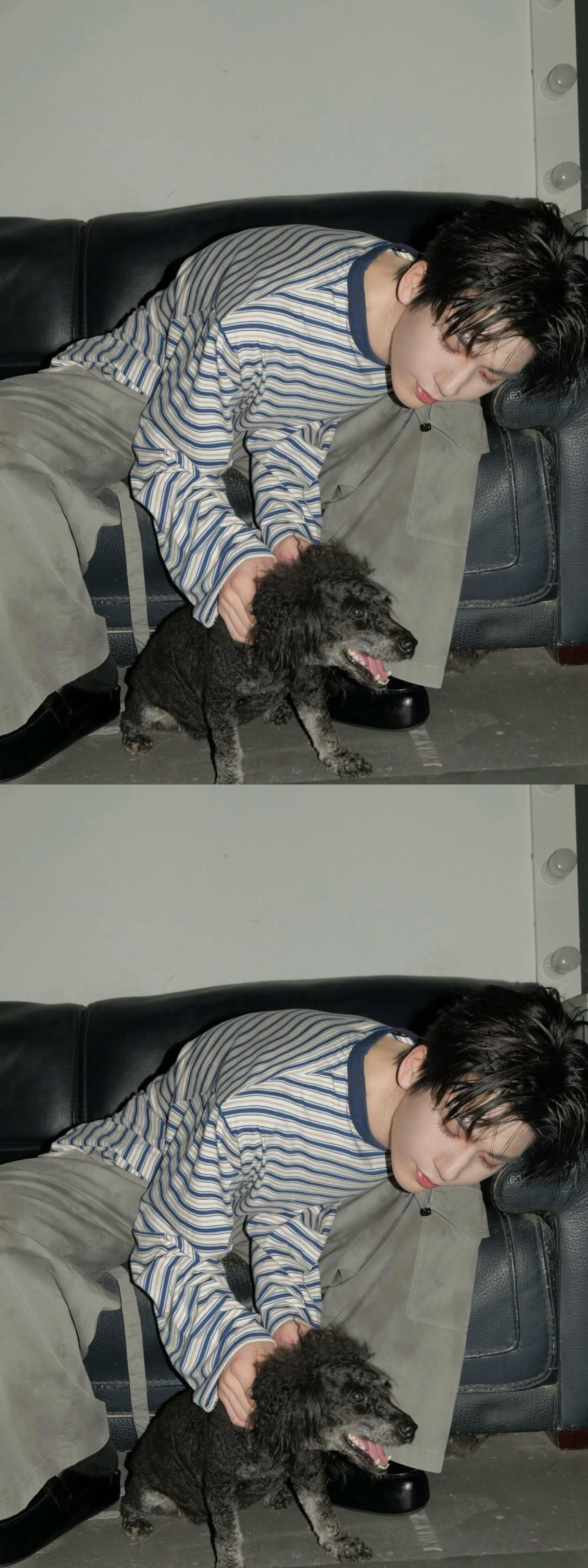 张凌赫晒日常照.张凌赫晒小狗合照 张凌赫ins更新 日常照太权威啦 羡慕丑狗