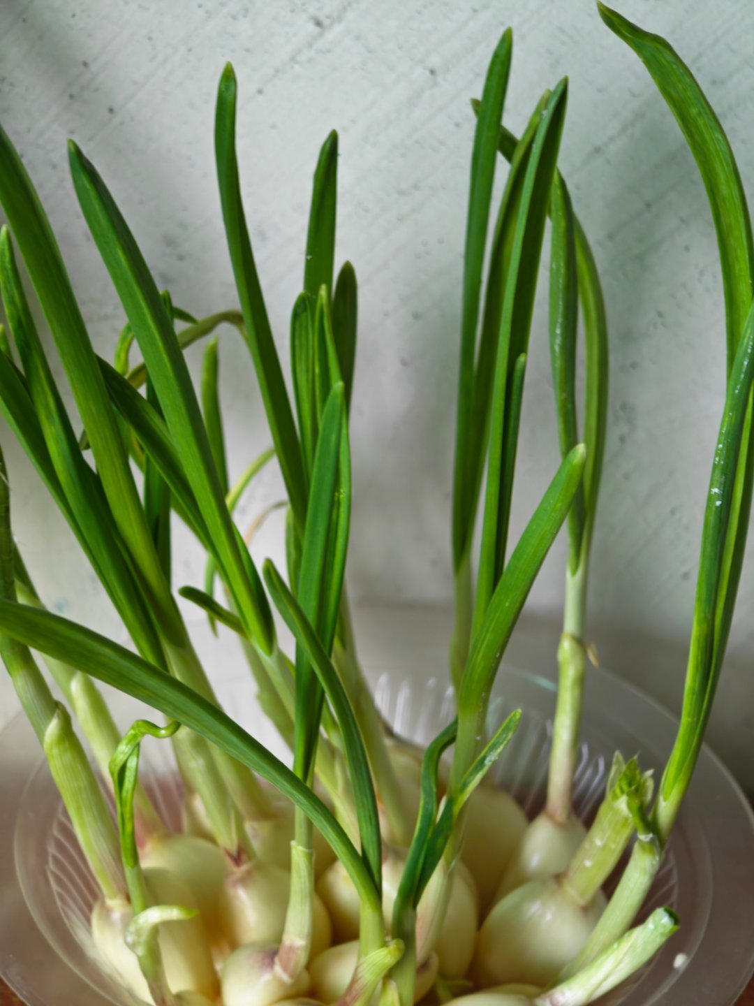 星期一了，继续搬砖呀。晚上看荣耀500发布会。