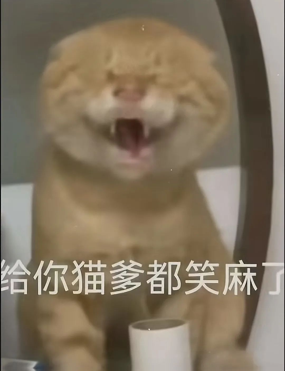 中国足协通报韩国足协不当招待事件这波我个人倾向于相信足协的调查结果，毕竟，国足搞