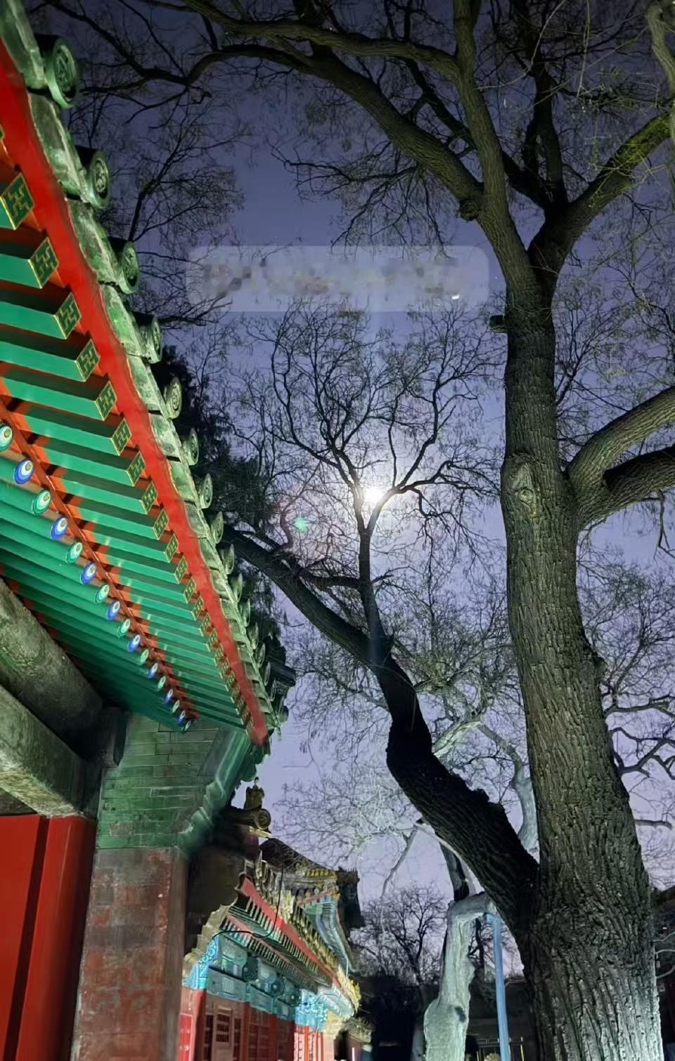 马克龙夫妻昨晚据说去了故宫逛夜景。这事网上炸锅了，有人拍到照片但没实锤。那天北京