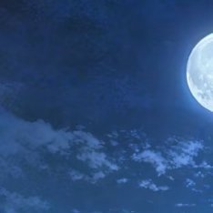 静夜思唐 李白床前明月光，疑是地上霜，举头望明月，低头思故 