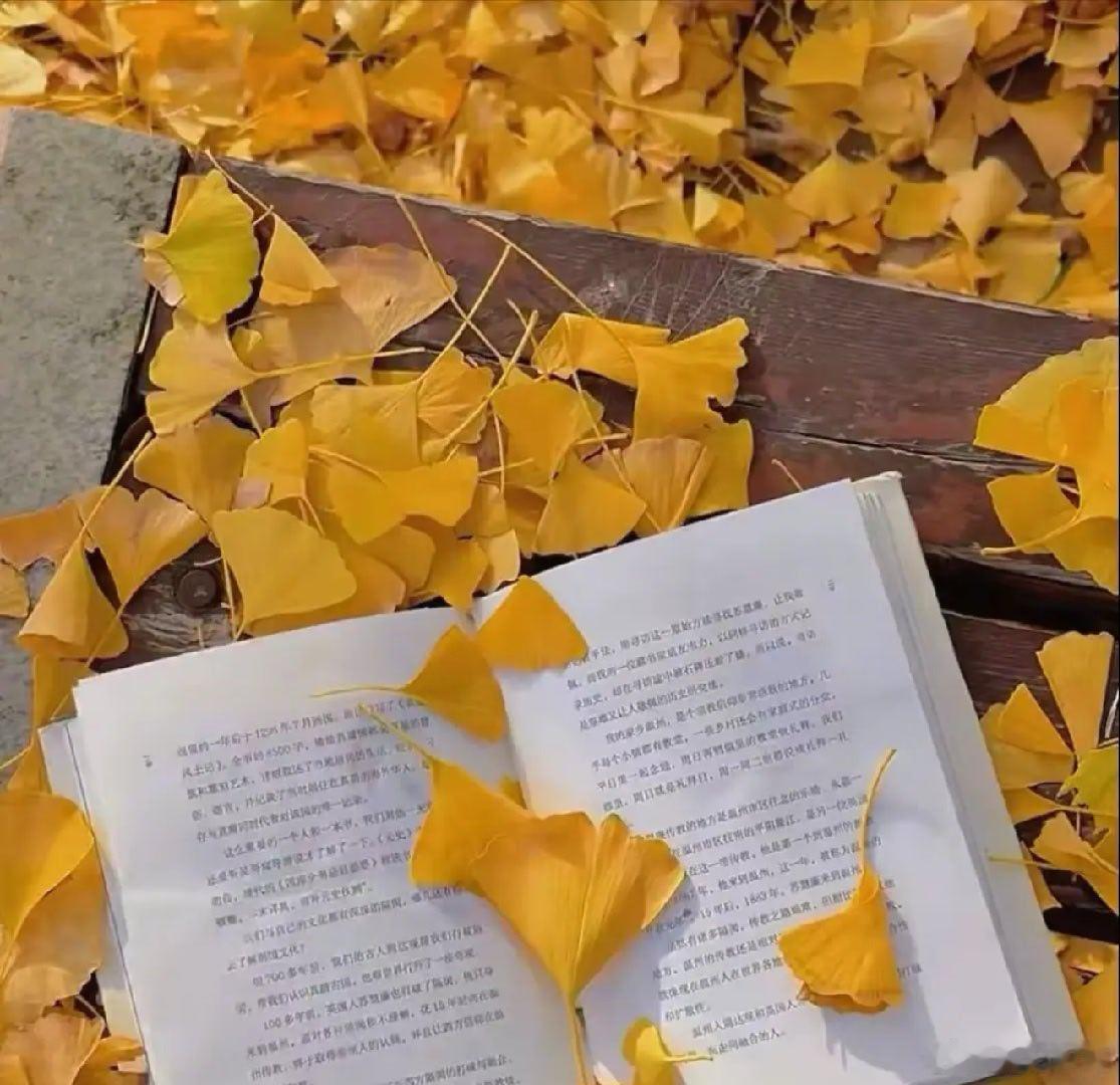 能拉人一把就拉一把。你今天递给别人的那根绳，说不定哪天就是救自己上岸的桨。