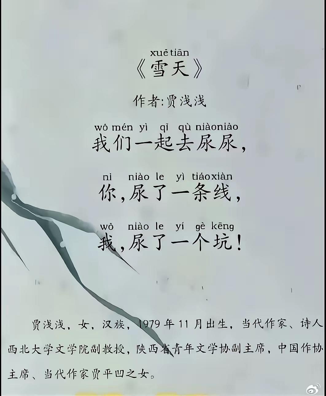 贾浅浅的《雪天》曾经引起了很大争议和轰动
很多人认为这是一首好诗
为什么说这是好