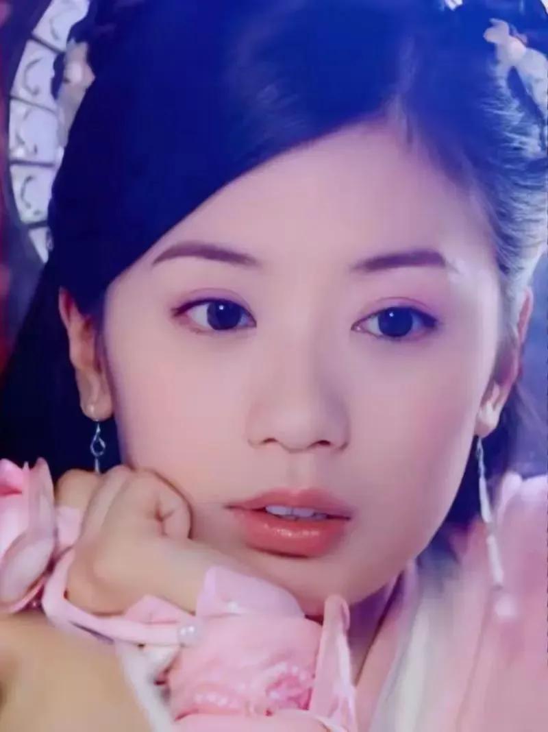 贾静雯饰演的赵敏，是不是你的理想型女神？

据说，贾静雯通过饰演03版《倚天屠龙