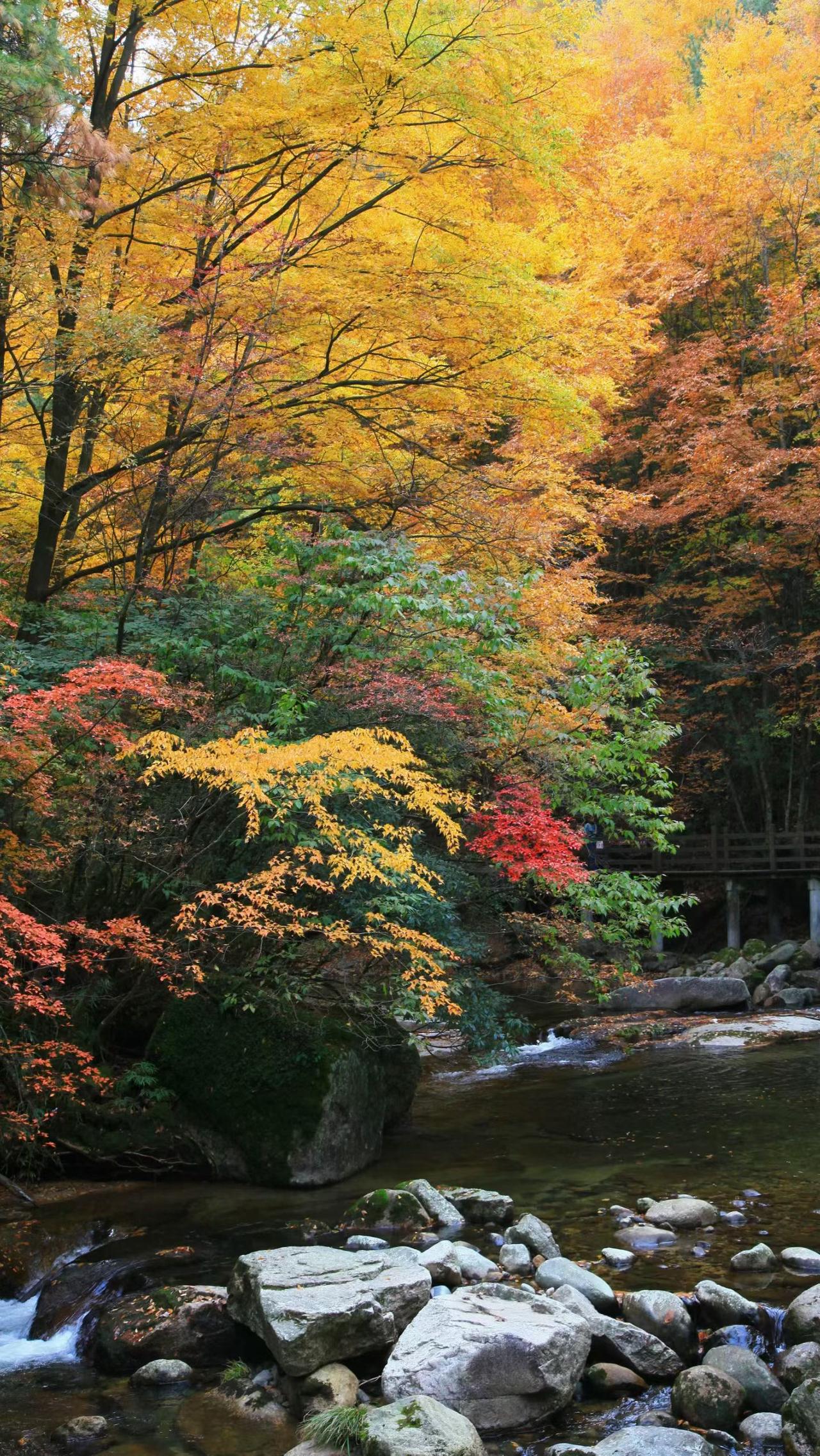 深秋依旧不减春夏美