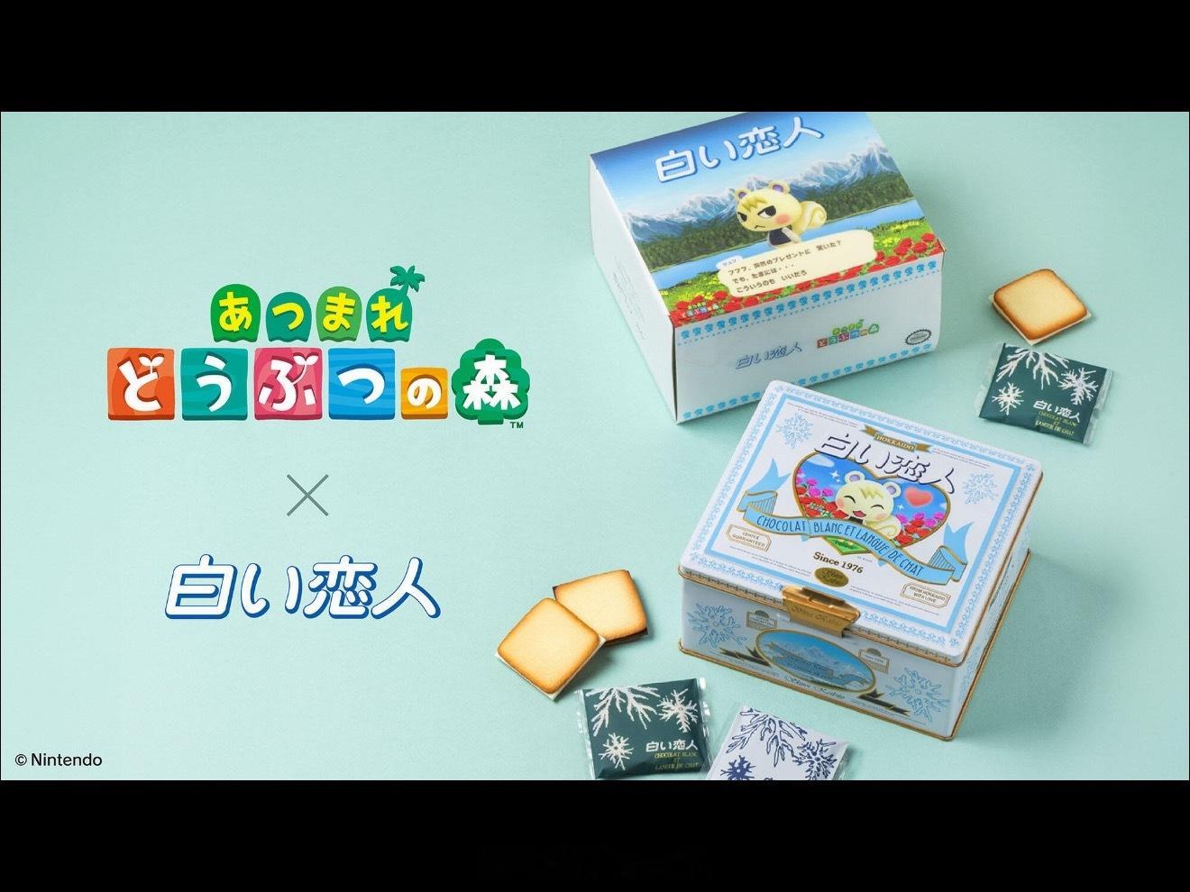 嗷！！ 